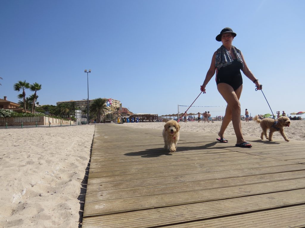 Paseo perruno por la playa Glea