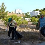 día de limpieza de parcela de árboles basuraleza 3r