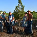 día de limpieza de parcela de árboles basuraleza 9r