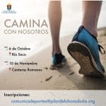 CAMINA 6