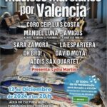 Solidario 13