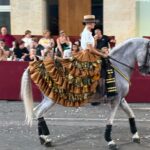 Moros y Cristianos Orihuela 2025 (1)424