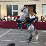 Moros y Cristianos Orihuela 2025 (1)68