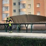 efectos de la tormenta de viento 3