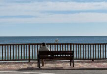 Dehesa de Campoamor recupera la calma tras el temporal de viento