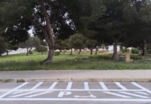 Nuevo servicio de patinetes eléctricos con cerca de 200 zonas de estacionamiento, algunas de ellas en Campoamor.