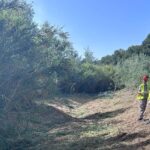 limpieza del río Nacimiento en Campoamor 2